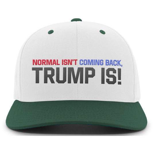 Normal Isn't Coming Back 5 Panel Snapback Hat